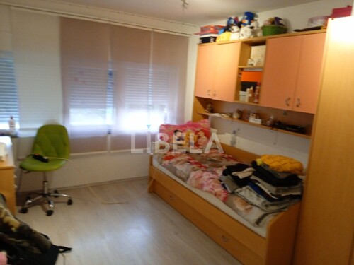 Thumbnail 5262085 - 13