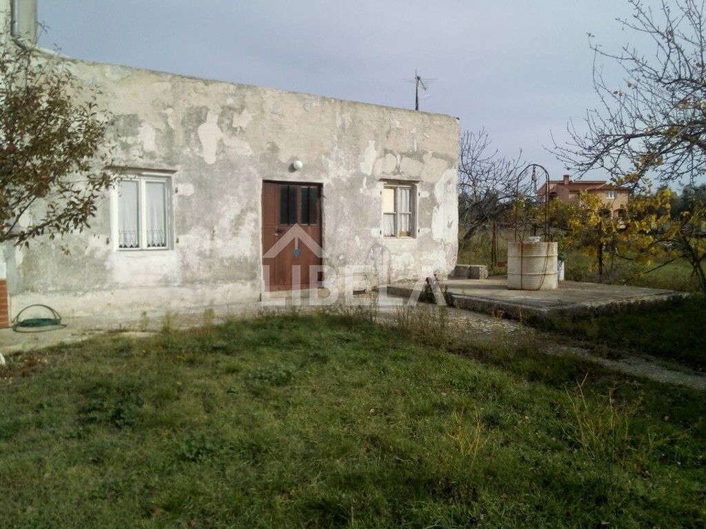 Image 5262132 - 2