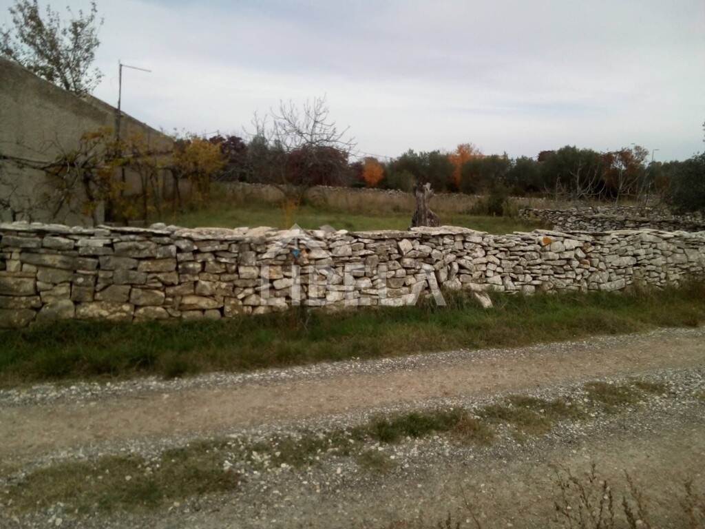 Image 5262132 - 6