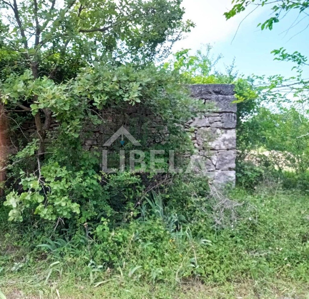 Image 5262245 - 2