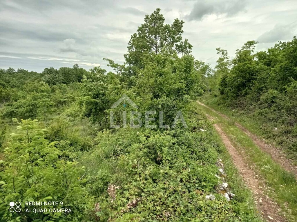Image 5262289 - 1