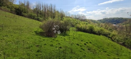 Thumbnail 5263404 - 7