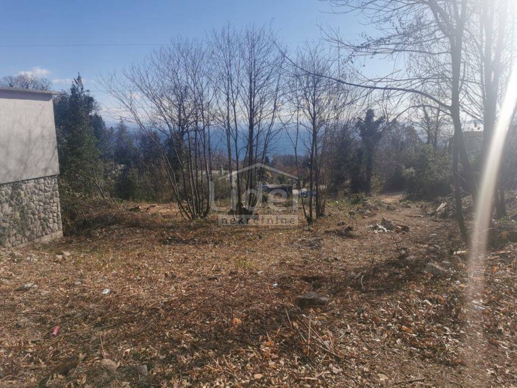 Image 5267505 - 2