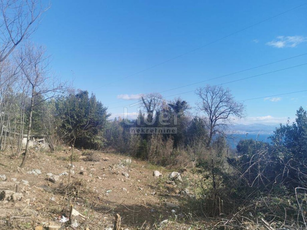 Image 5267505 - 4