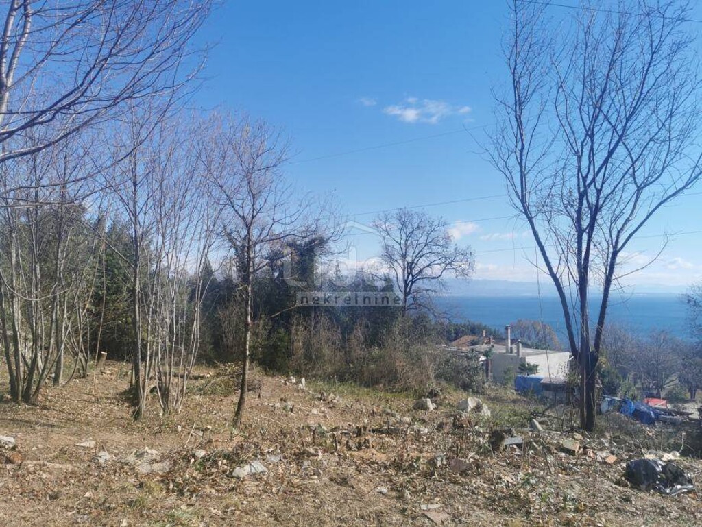 Image 5267505 - 1