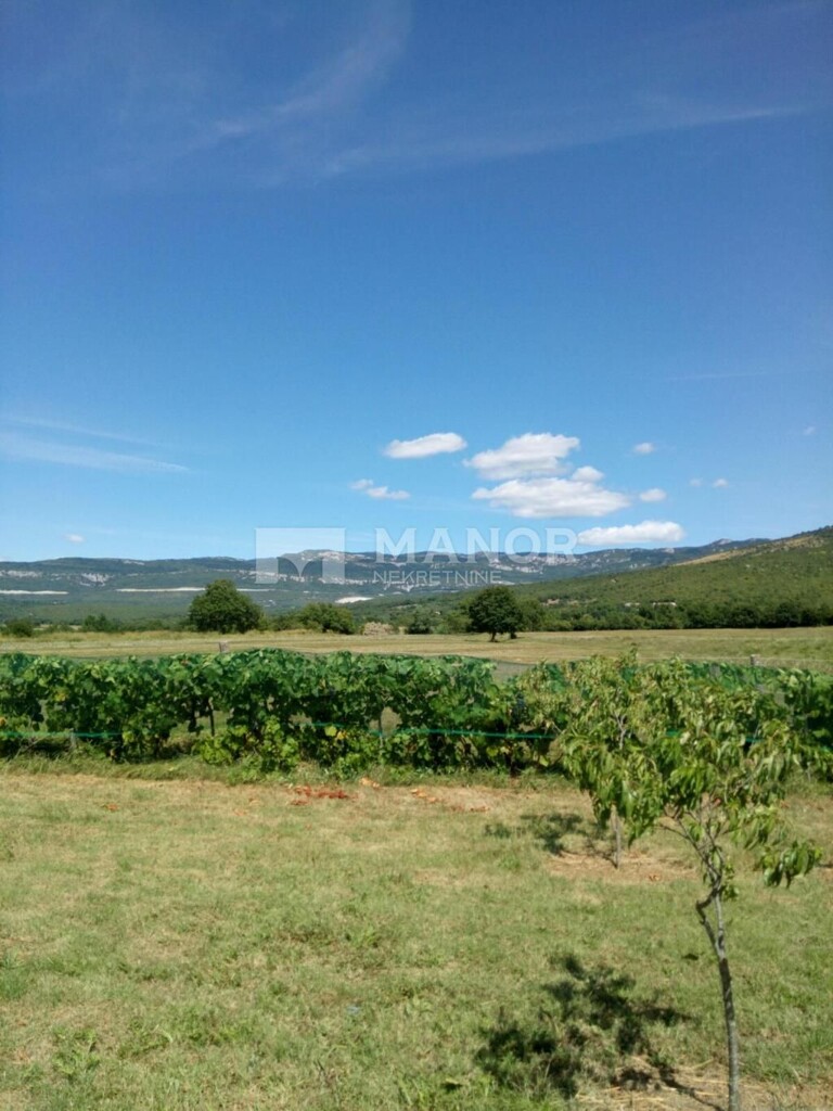 Image 5268323 - 5