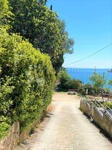 Thumbnail 5268708 - 12