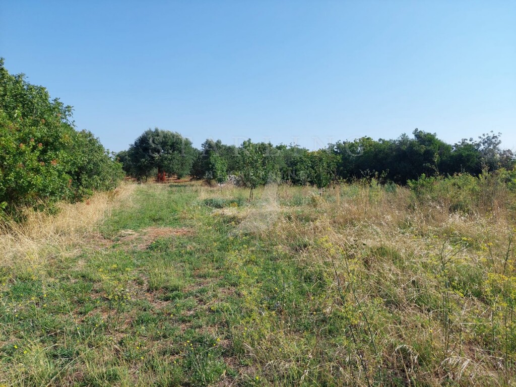 Image 5268738 - 1