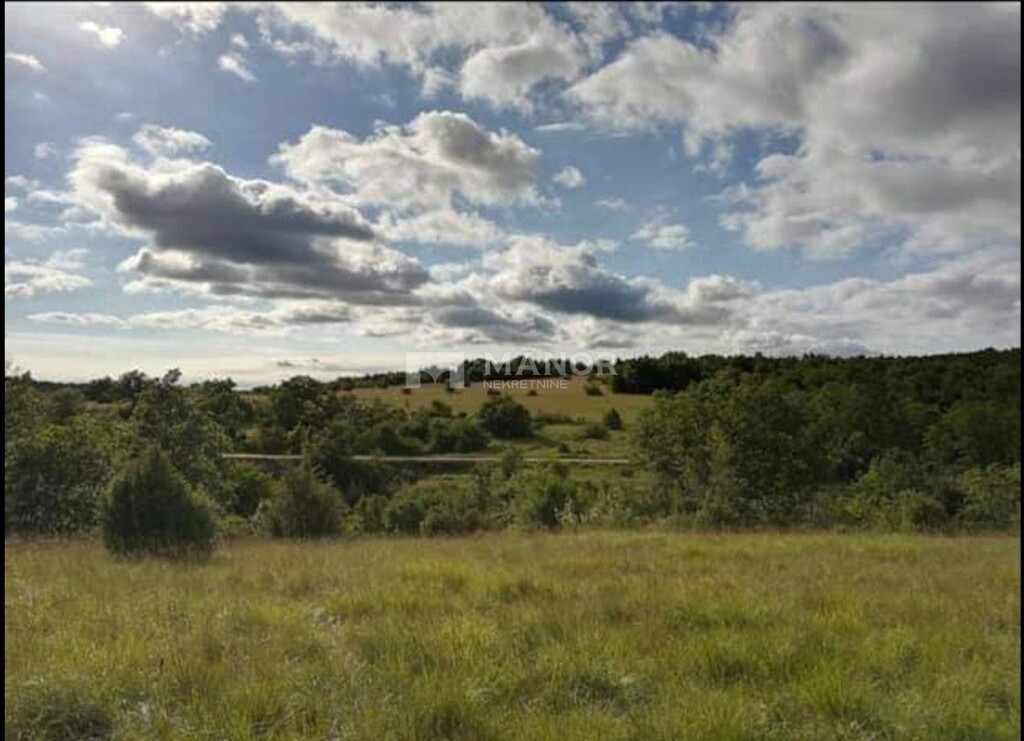 Image 5269678 - 1
