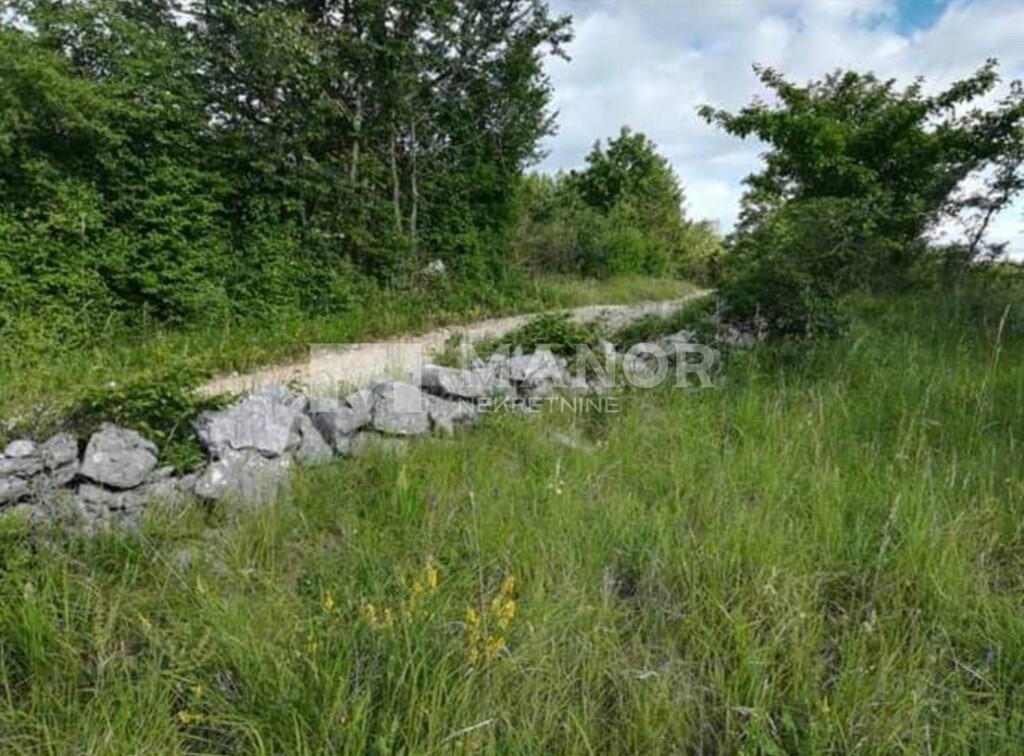 Image 5269678 - 4