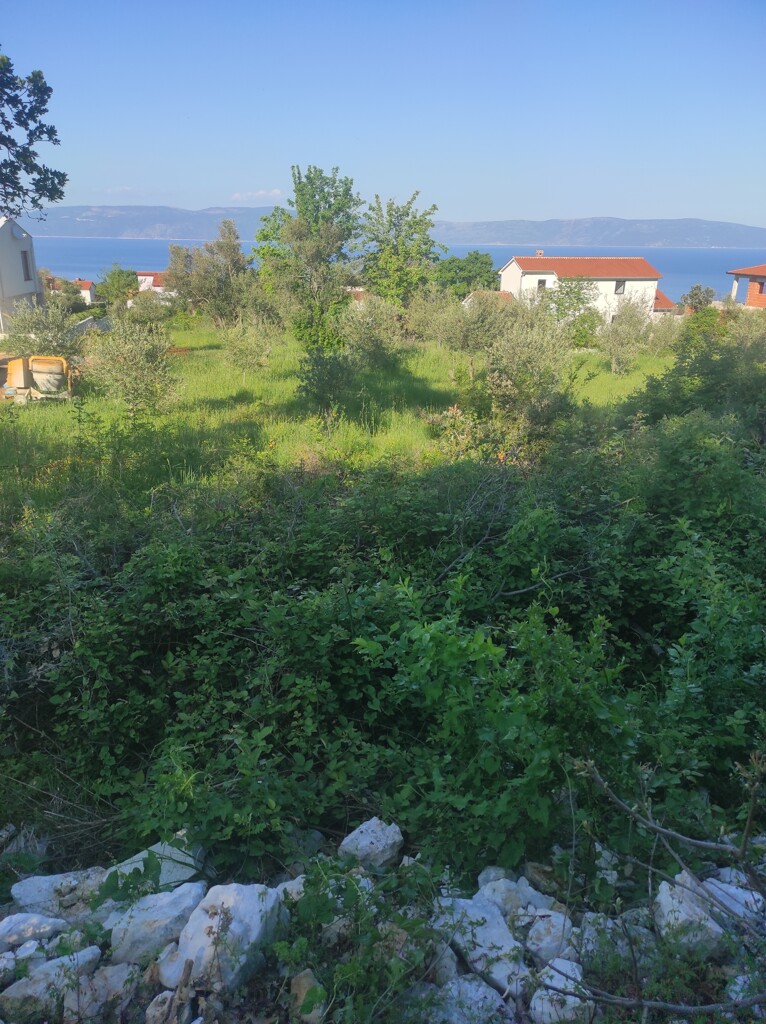 Image 5270739 - 9