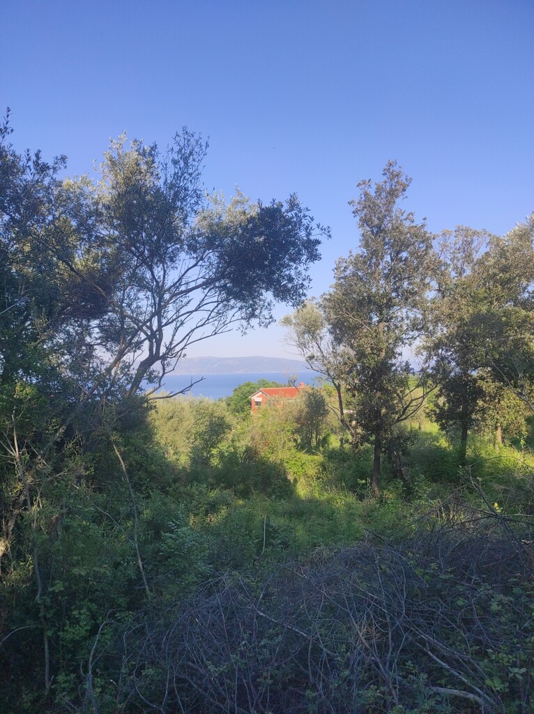 Image 5270739 - 7