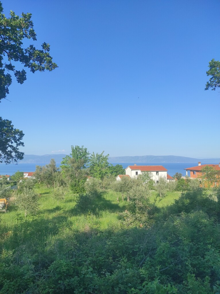 Image 5270739 - 11