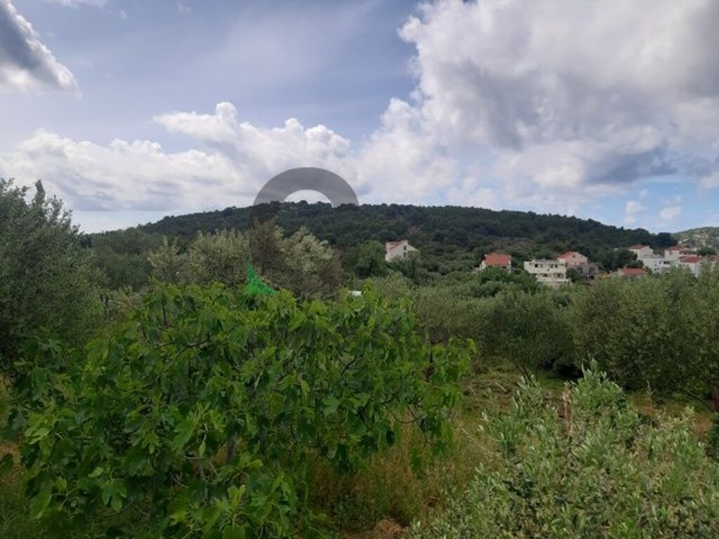 Image 5271525 - 8