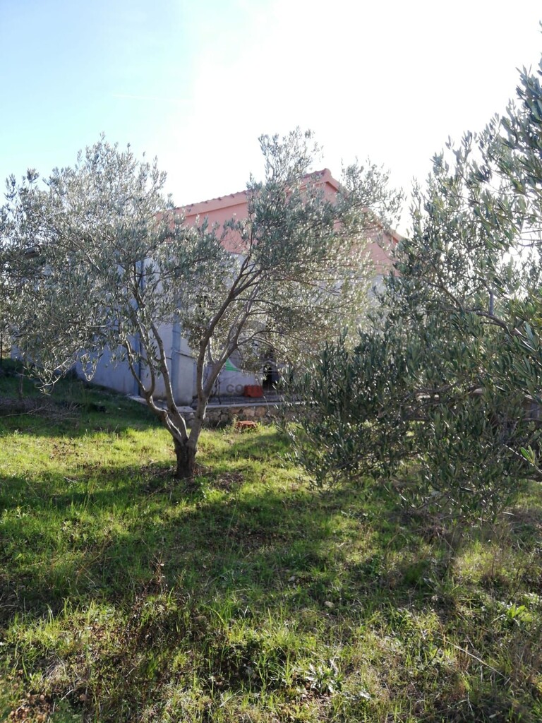 Image 5271525 - 7