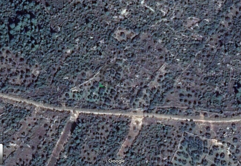 Image 5271526 - 1