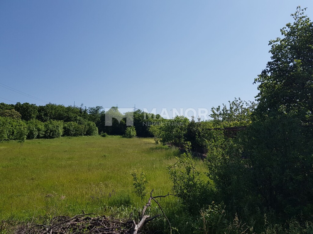 Image 5271650 - 3