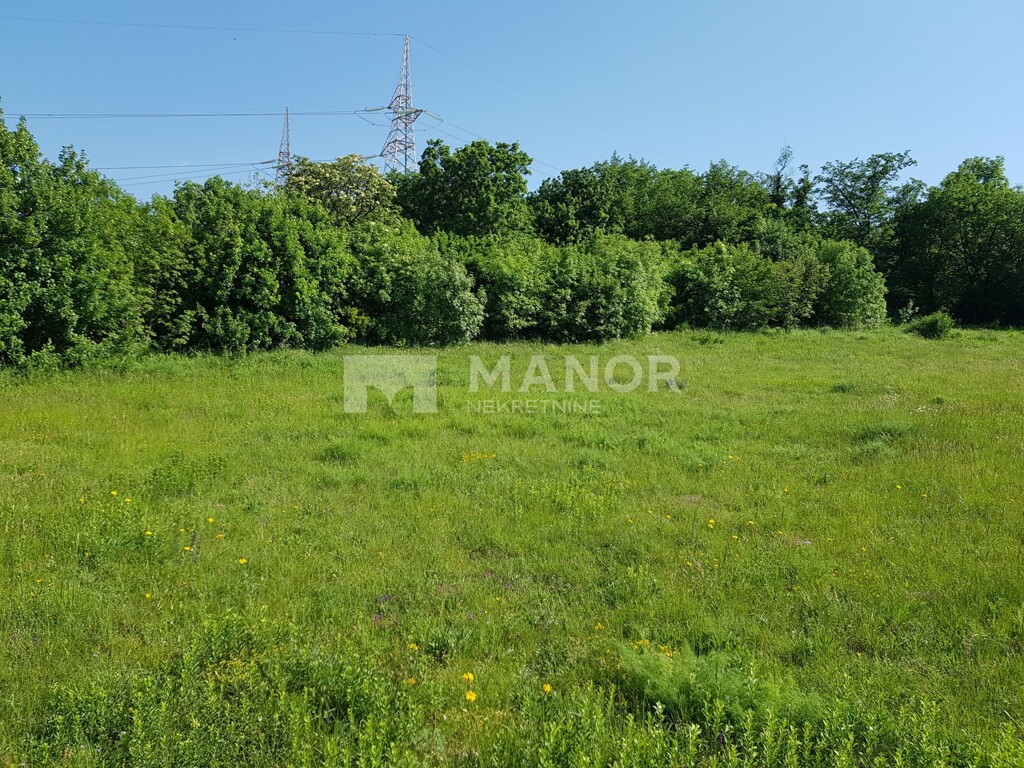 Image 5271650 - 5