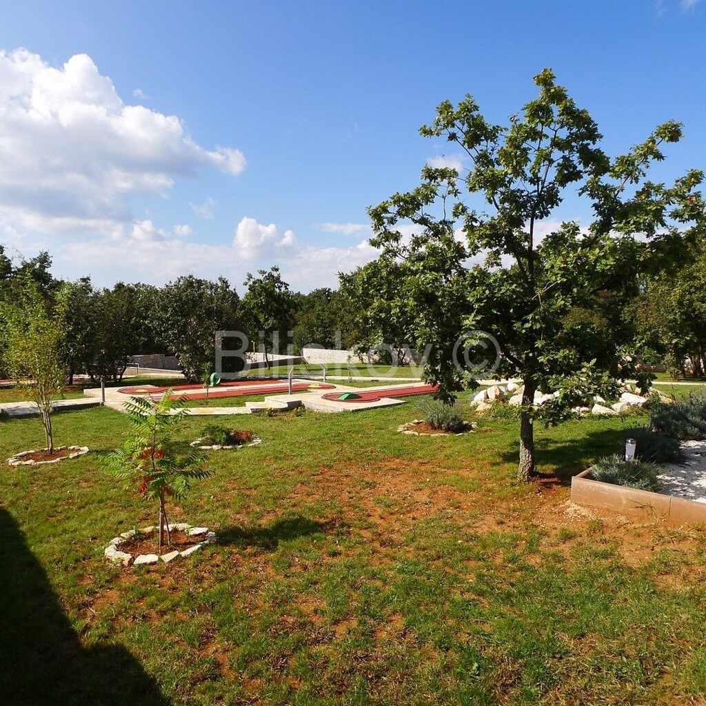 Image 5274871 - 22