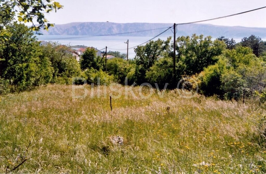 Image 5277649 - 1