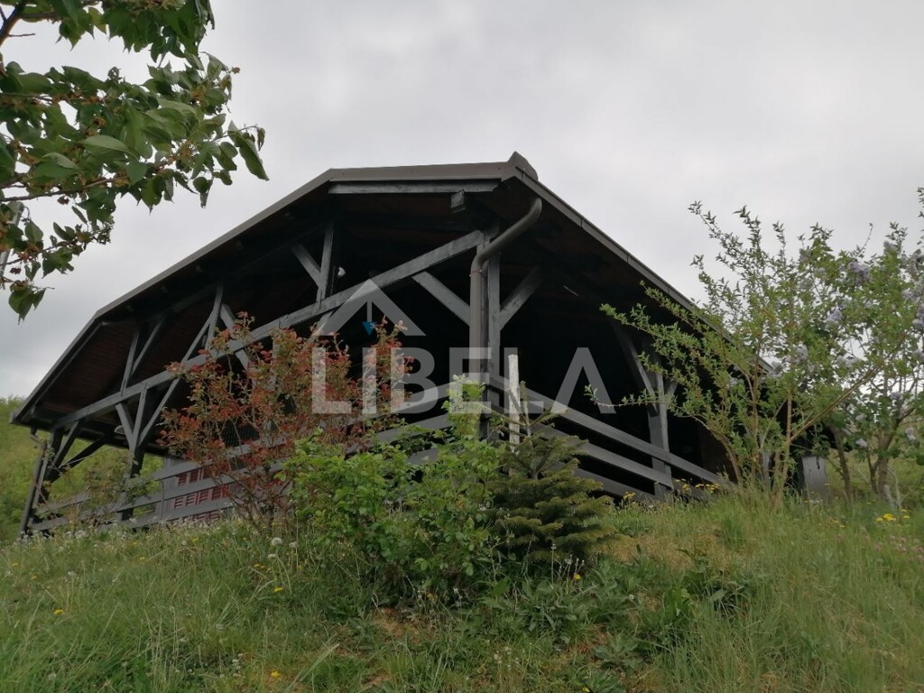 Image 5283002 - 7