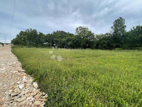 Thumbnail 5283672 - 6