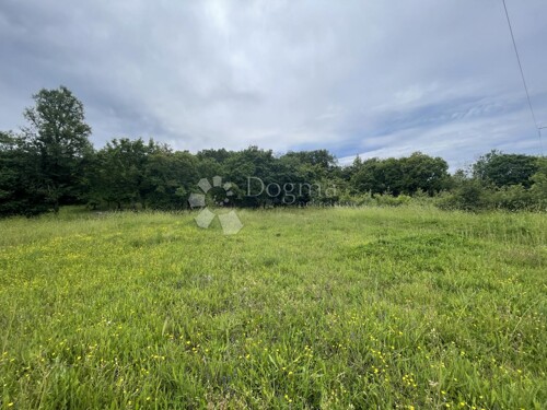 Thumbnail 5283672 - 5