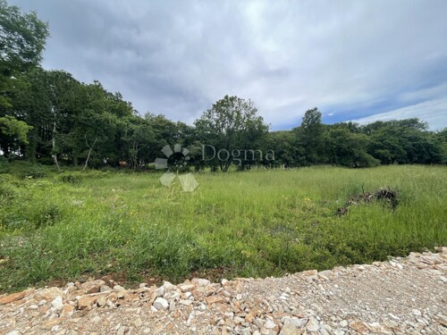 Thumbnail 5283672 - 2