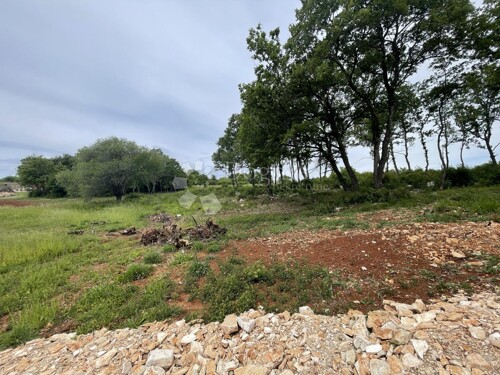 Thumbnail 5283672 - 3