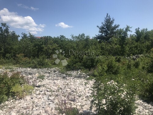 Thumbnail 5288290 - 5