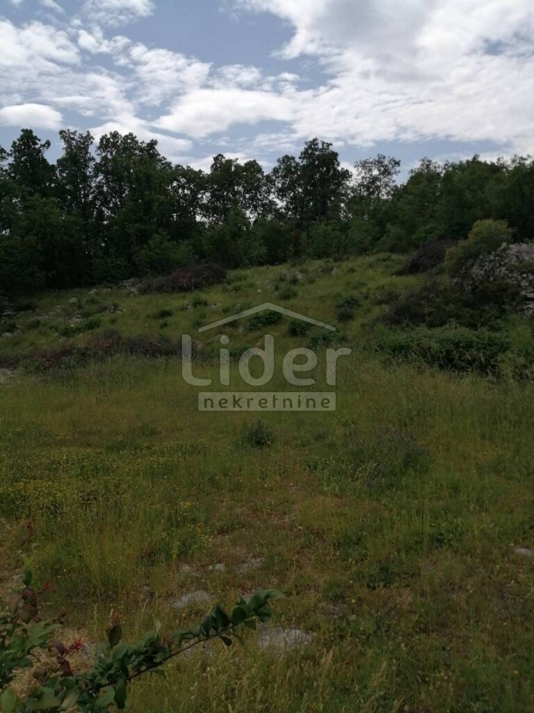 Image 5289129 - 3