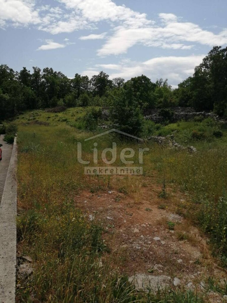 Image 5289129 - 1
