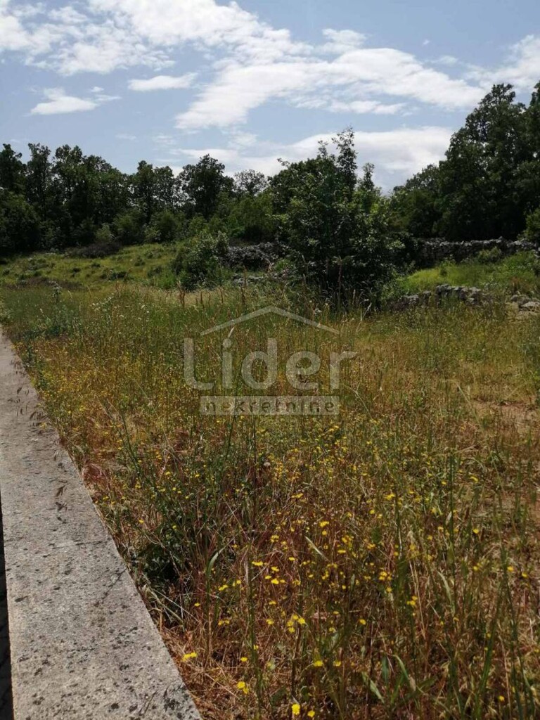 Image 5289129 - 2