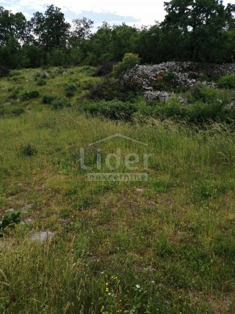 Image 5289129 - 4