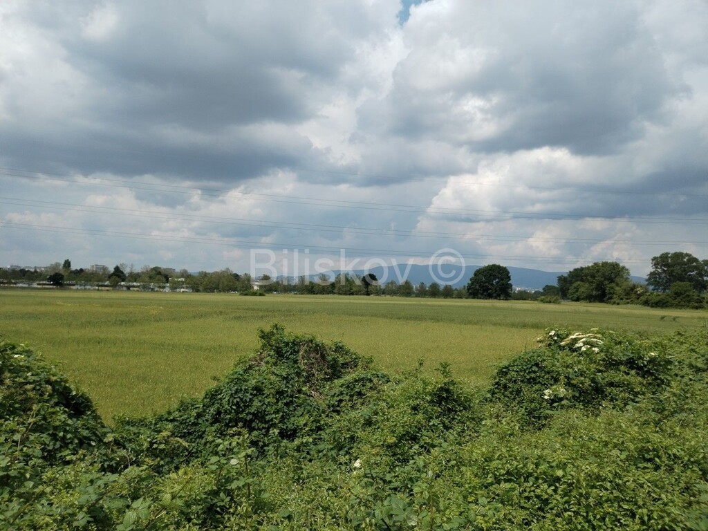 Image 5289712 - 1