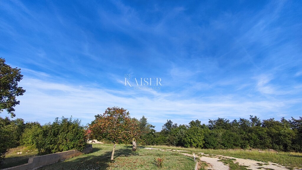 Image 5289849 - 6