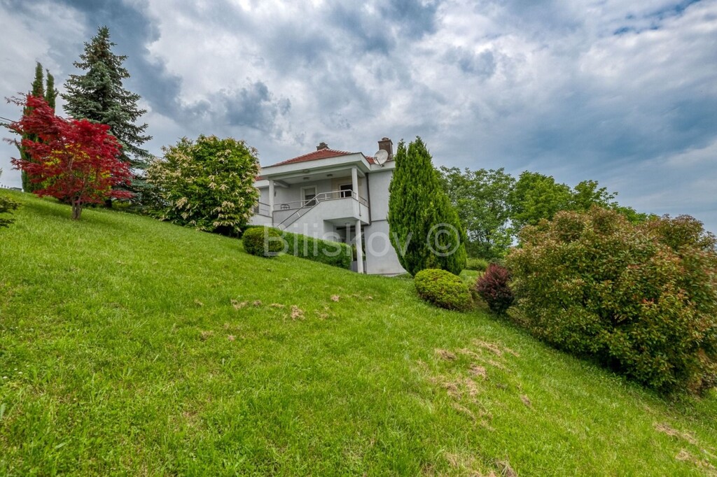 Image 5296528 - 2