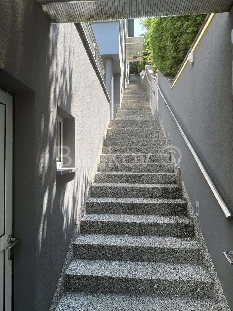 Image 5298737 - 13