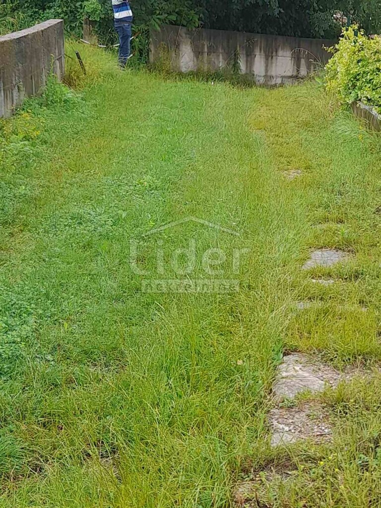 Image 5300557 - 4