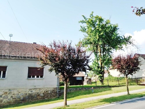 Garešnica - obiteljska kuća