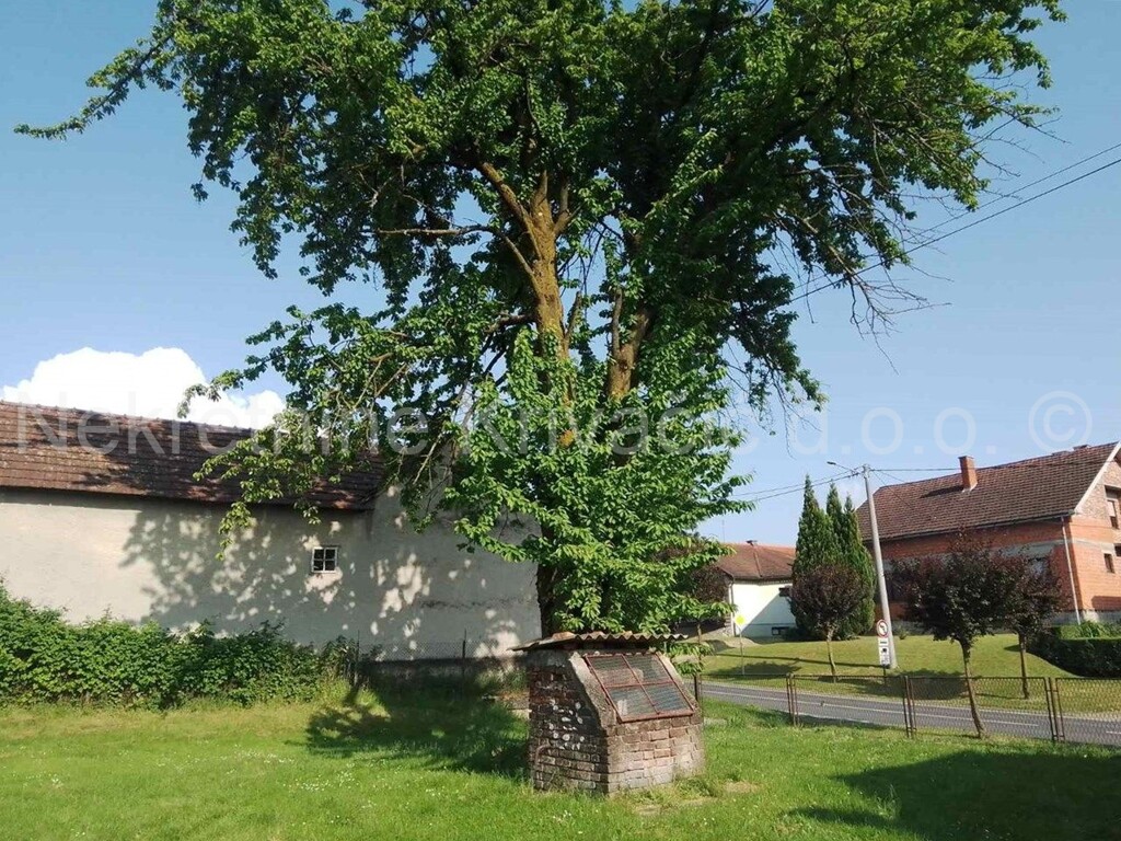 Image 5300691 - 3