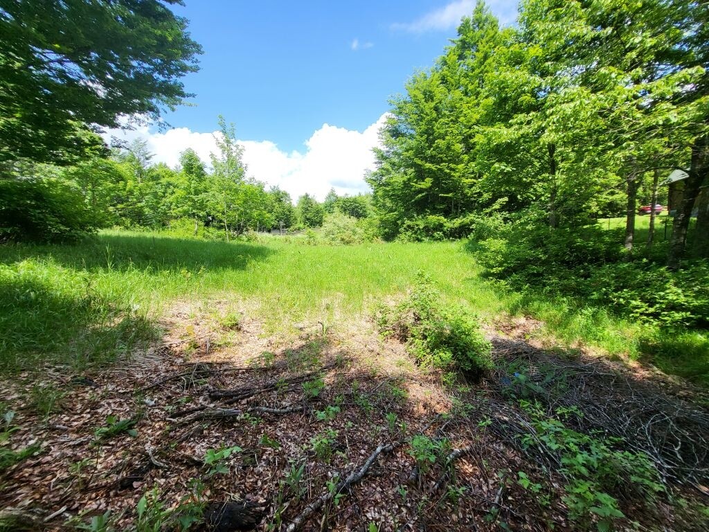Image 5304259 - 1