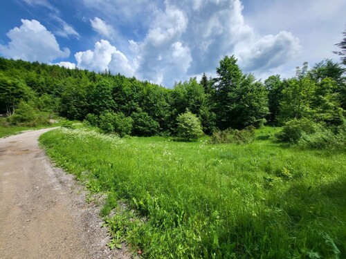 Gorski kotar, Stari Laz građevinsko zemljište prodaja