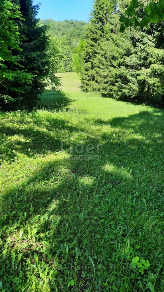 Image 5312942 - 5