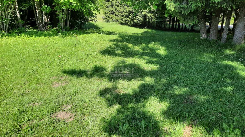 Image 5312942 - 3