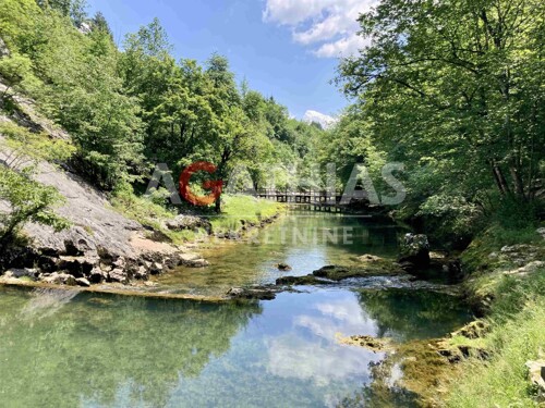 Tounj, zemljište 16.940 m2, šuma