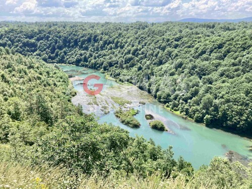 Tounj, zemljište 16.940 m2, šuma