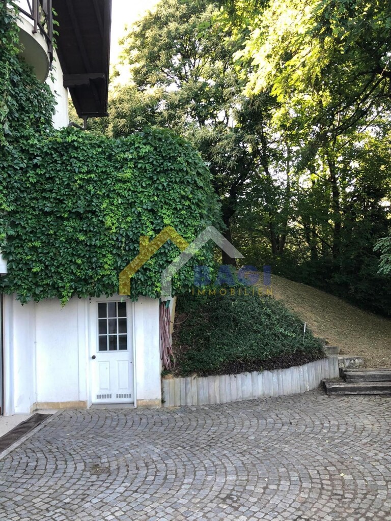 Image 5313601 - 10