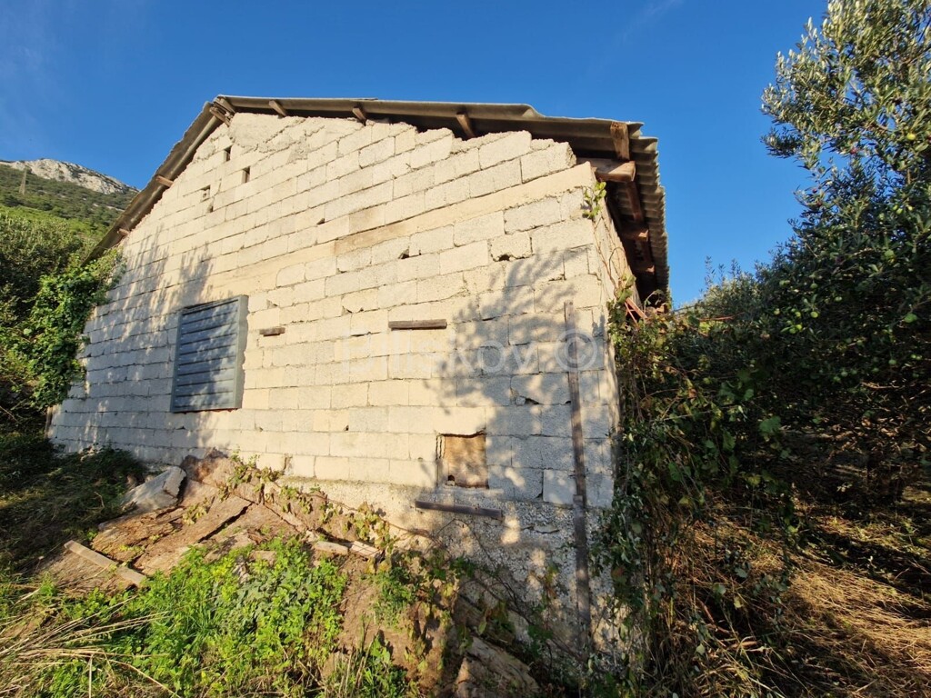 Image 5314042 - 8