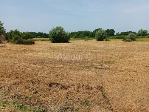 GRAĐEVINSKO ZEMLJIŠTE, 3.780 m2, VRBOVEC, LONJICA - PRODAJA